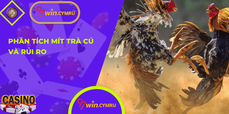 Mít Trà Cú 02